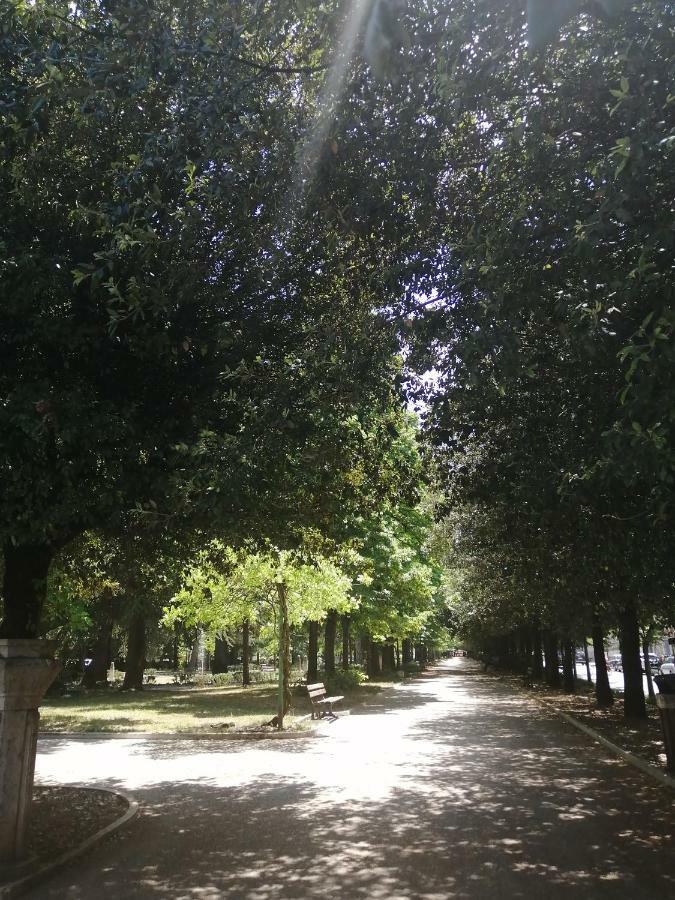 Il Labirinto Sulmona